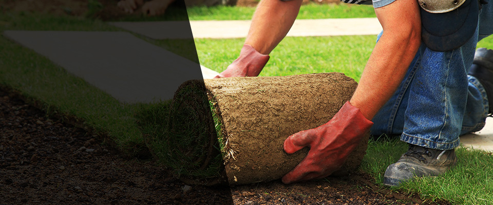 North East Landscapers